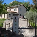 Vineyard