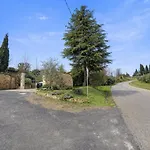 Vineyard *