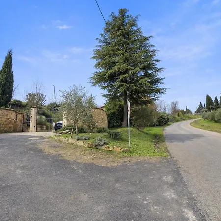 Vineyard *